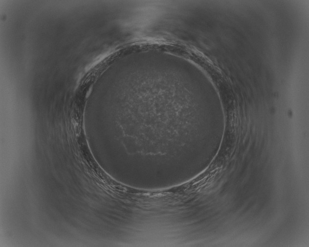 X0000068891303200605081309