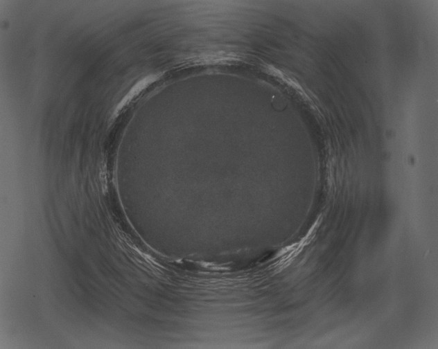 X0000068891306200605081309