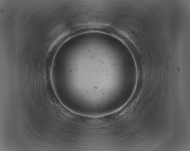 X0000068891307200605081309