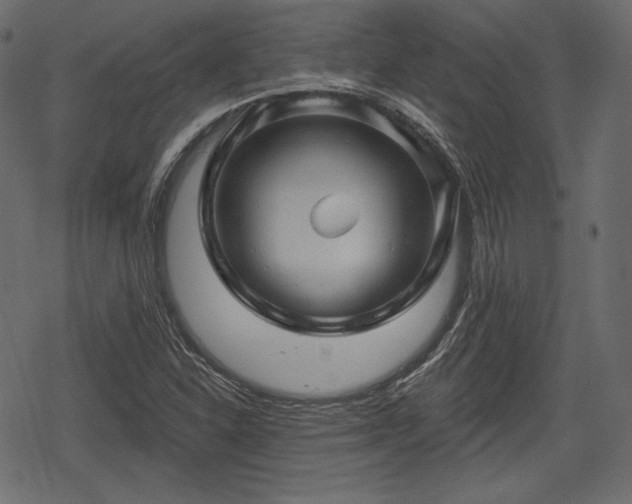 X0000068891310200605081309