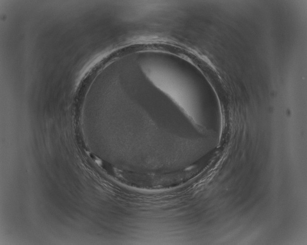 X0000068891311200605081309