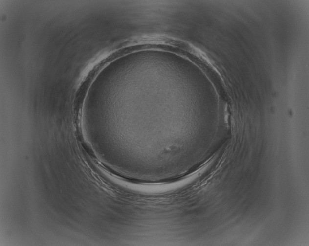 X0000068891312200605081309