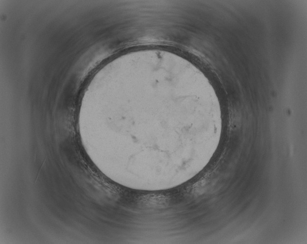 X0000068891314200605081309