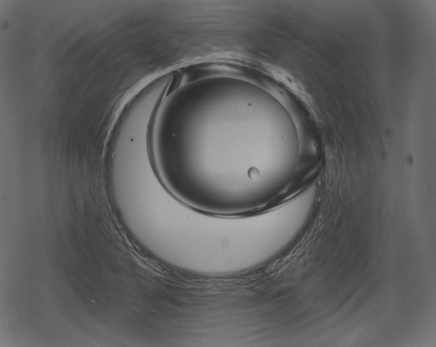 X0000068891316200605081309