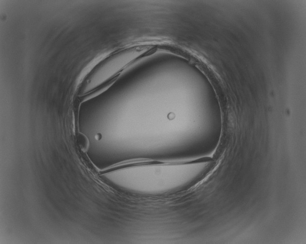 X0000068891317200605081310