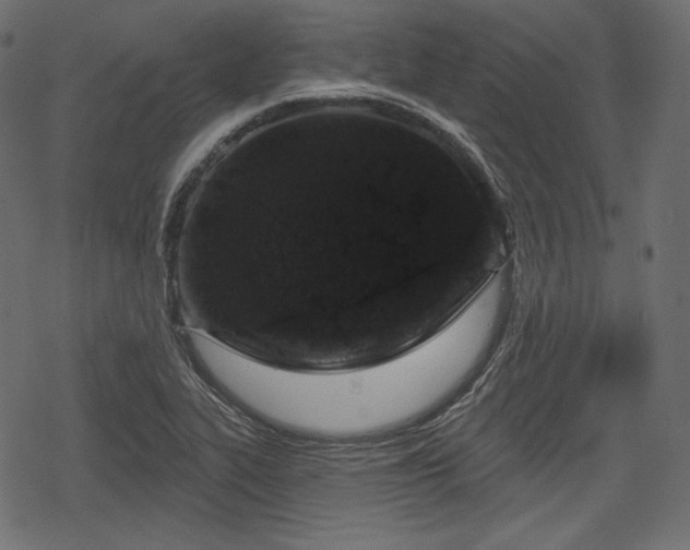 X0000068891319200605081310