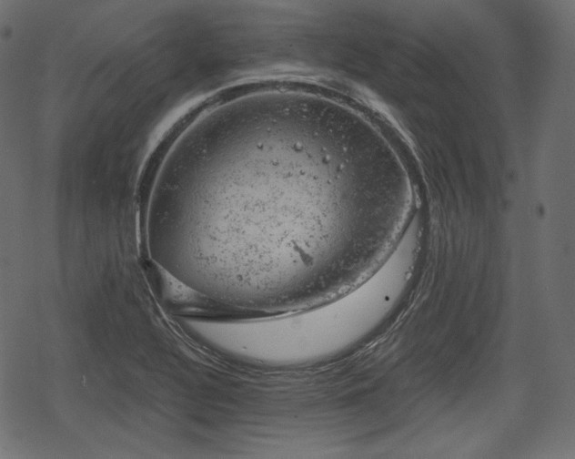 X0000068891320200605081310