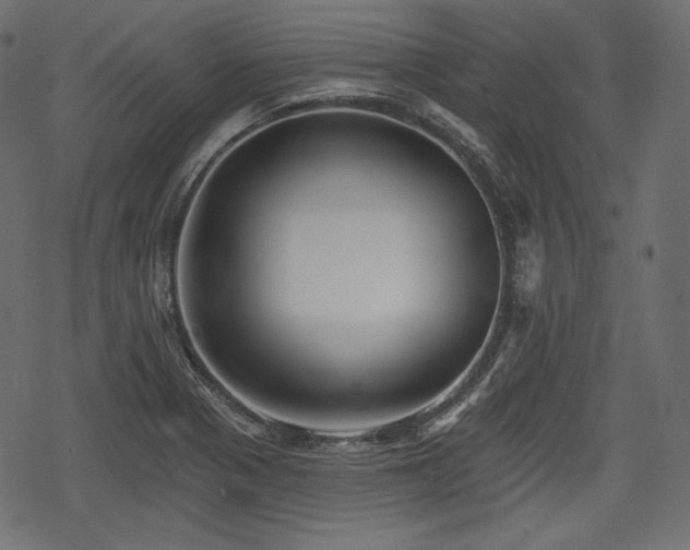 X0000068891321200605081310