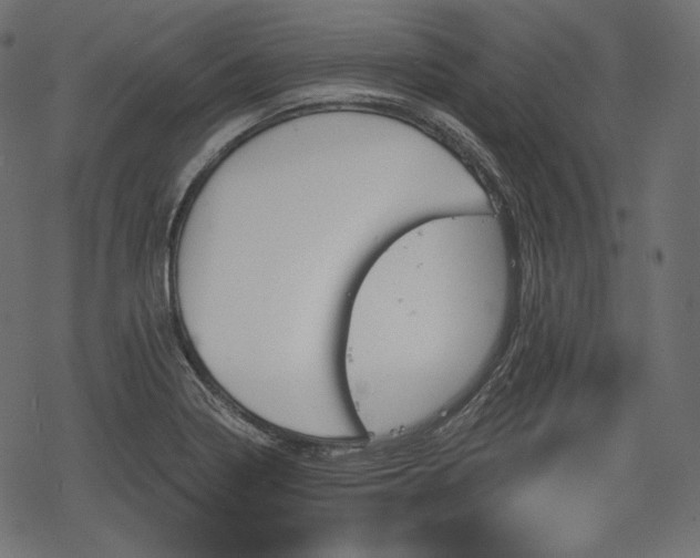 X0000068891322200605081310