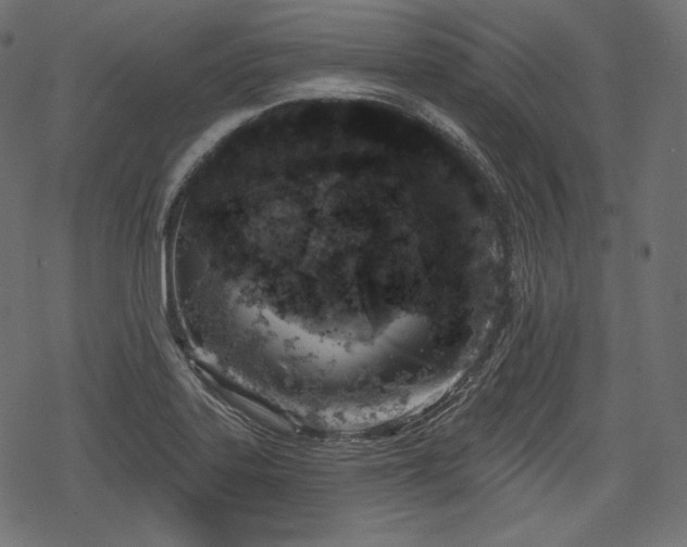 X0000068891323200605081310