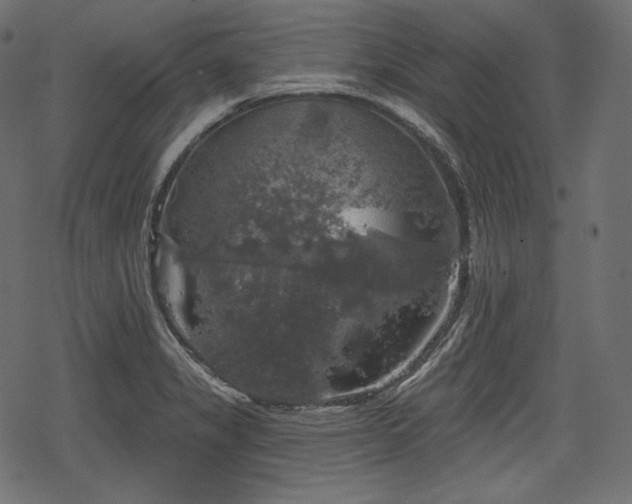 X0000068891325200605081310