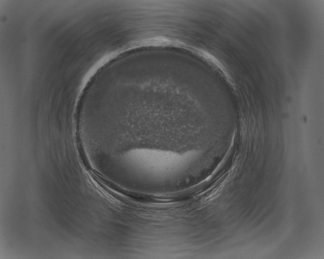 X0000068891326200605081310