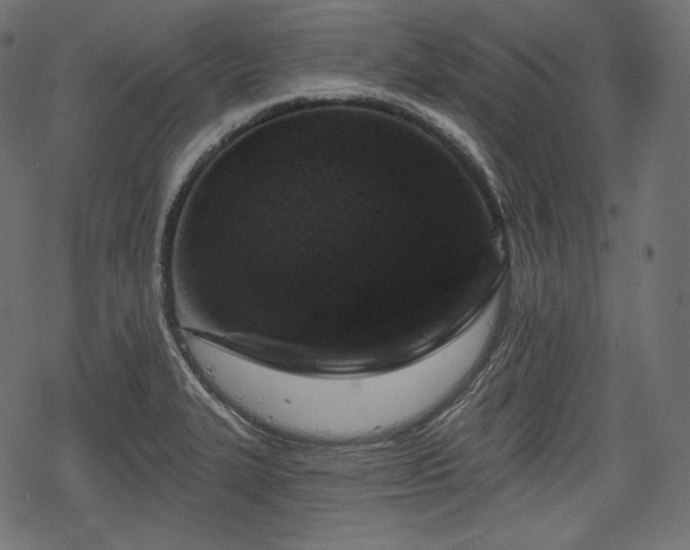 X0000068891327200605081310