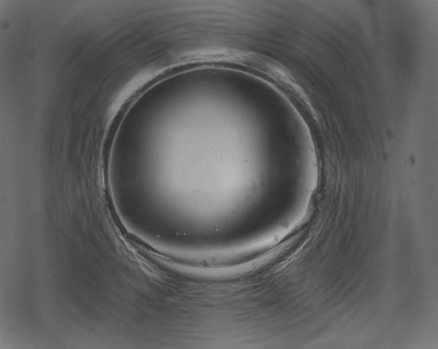 X0000068891328200605081310