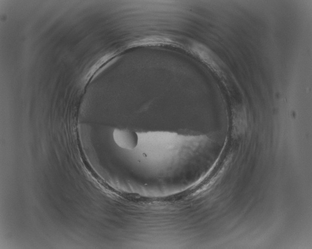 X0000068891329200605081310