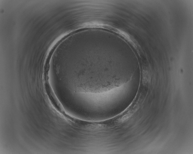 X0000068891331200605081310