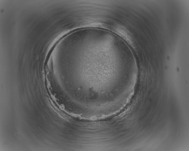 X0000068891332200605081310