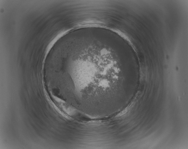 X0000068891333200605081310