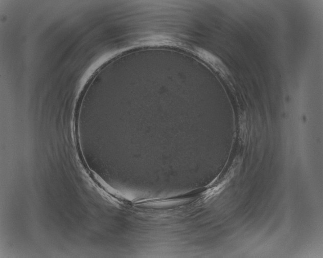 X0000068891334200605081310