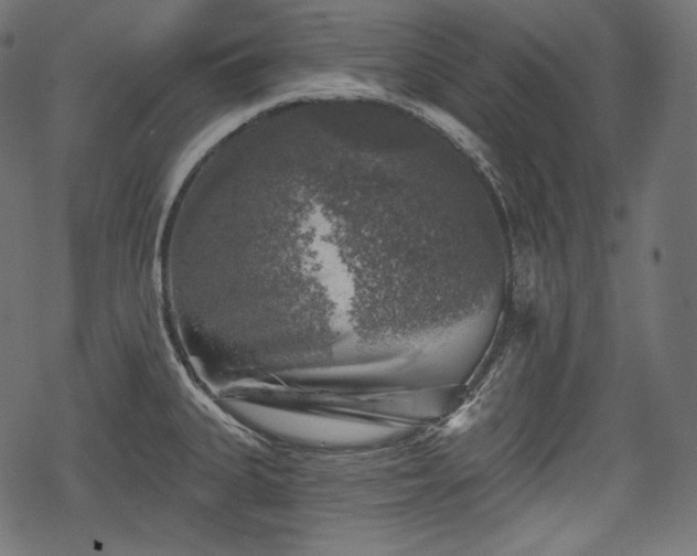 X0000068891335200605081310