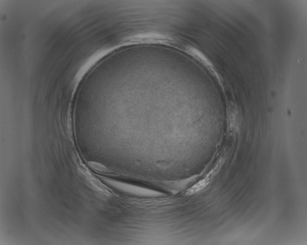 X0000068891336200605081310