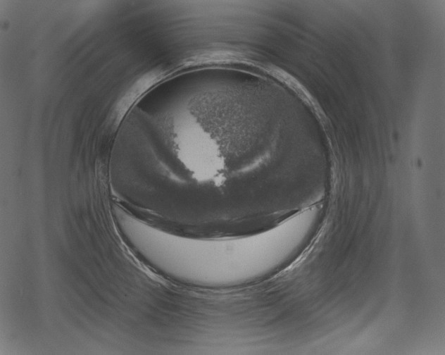 X0000068891337200605081310