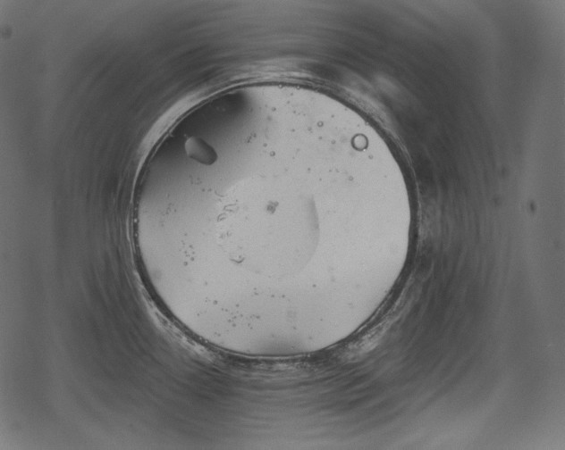 X0000068891338200605081310