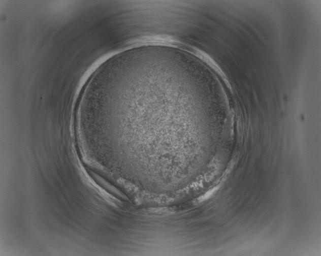 X0000068891339200605081310