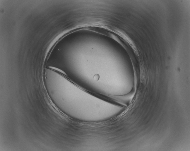 X0000068891340200605081310