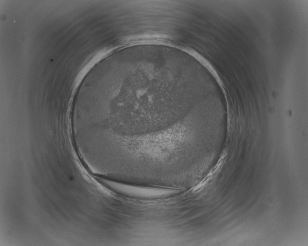 X0000068891341200605081310