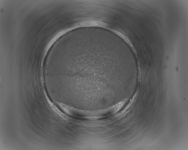 X0000068891342200605081310