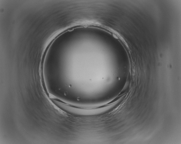 X0000068891343200605081310