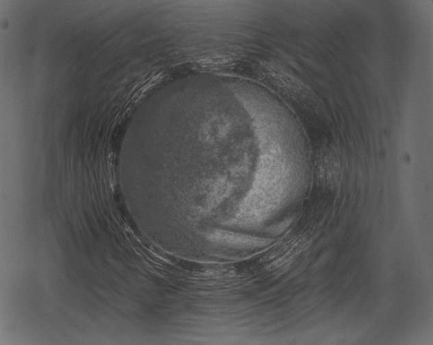X0000068891346200605081309