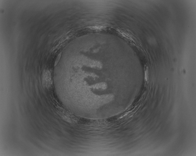 X0000068891347200605081309