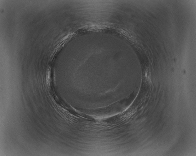 X0000068891348200605081309