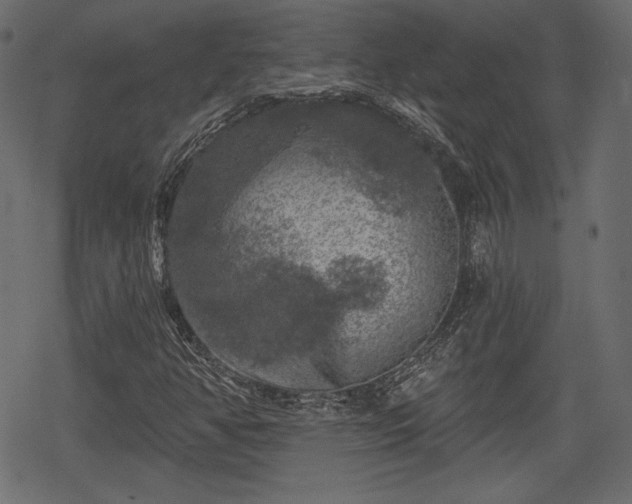 X0000068891350200605081309