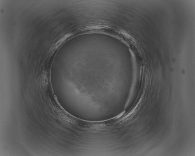 X0000068891353200605081309