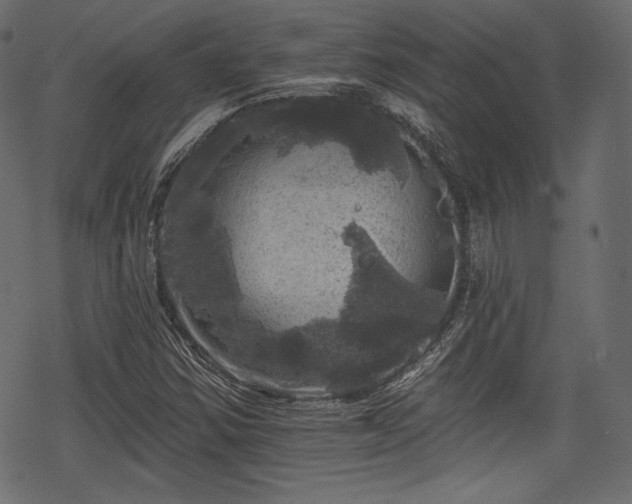 X0000068891354200605081309