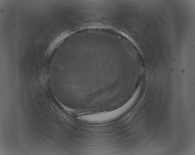 X0000068891359200605081309