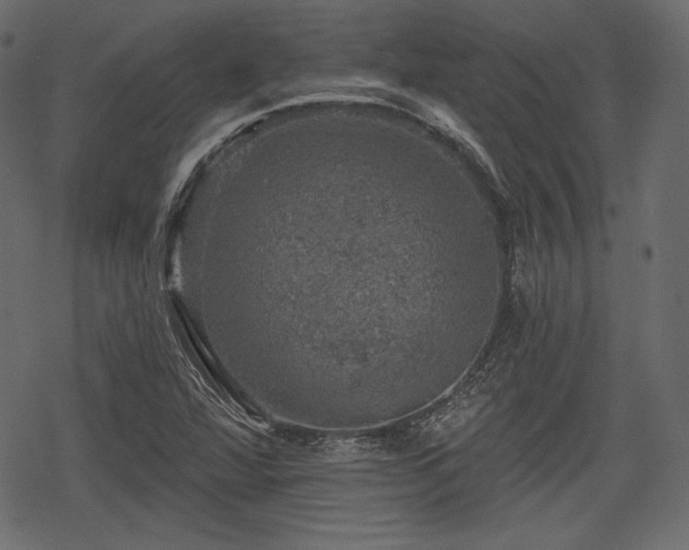 X0000068891360200605081309