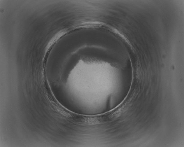 X0000068891362200605081309