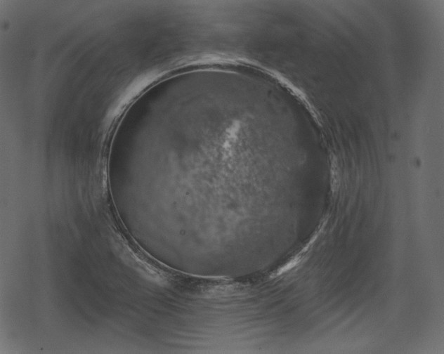 X0000068891367200605081309