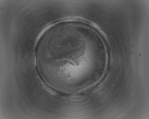 X0000068891368200605081309