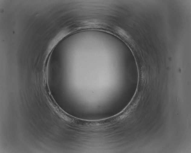 X0000068891370200605081309