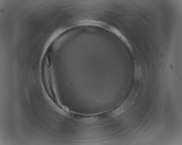 X0000068891376200605081309