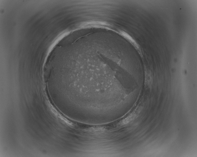 X0000068891384200605081309