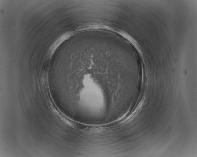 X0000068891385200605081309