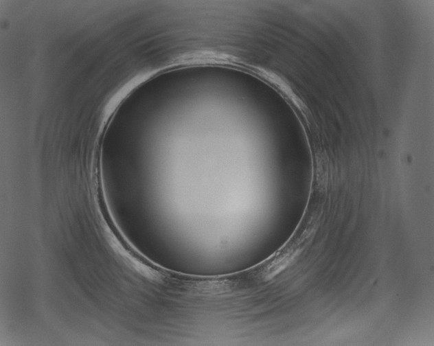 X0000068891387200605081308
