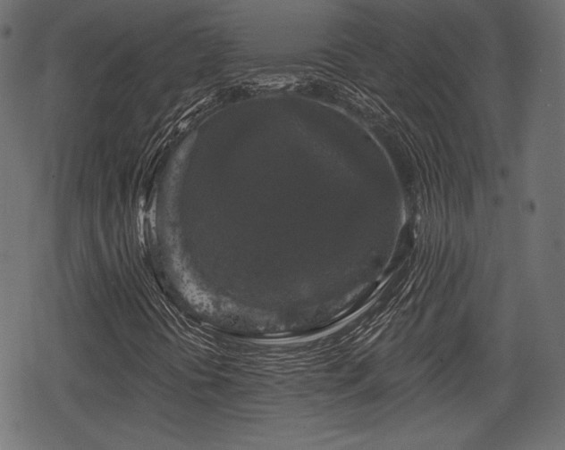 X0000068891394200605081308