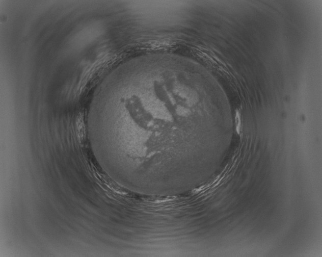X0000068891395200605081308